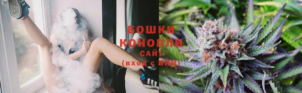 дурь Горняк
