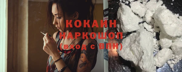 сатива Горно-Алтайск