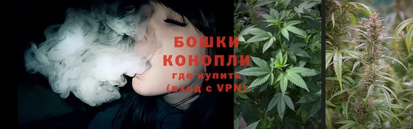 дурь Горняк