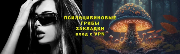дурь Горняк