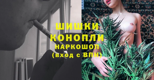 сатива Горно-Алтайск