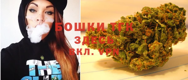 дурь Горняк