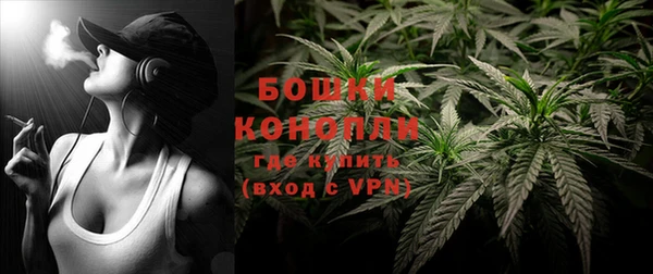 дурь Горняк
