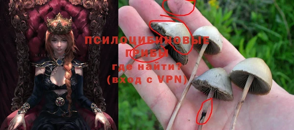 ALPHA-PVP Елизово