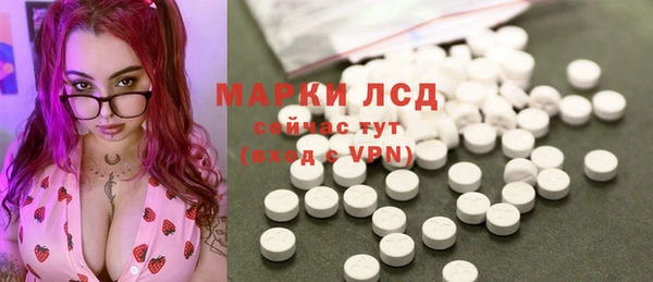 сатива Горно-Алтайск